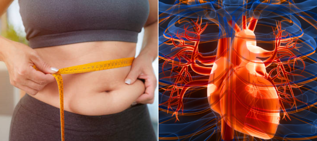 Medición de circunferencia de cintura en adulto durante evaluación médica por riesgo cardiovascular y grasa abdominal